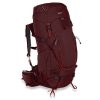 mountainsmith-apex-60-wsd-backpacking-backpack-huckleberry-main